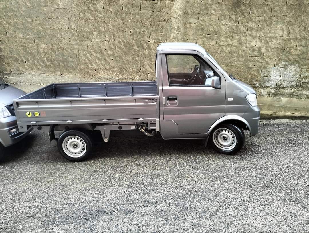 DFSK MINI TRUCK