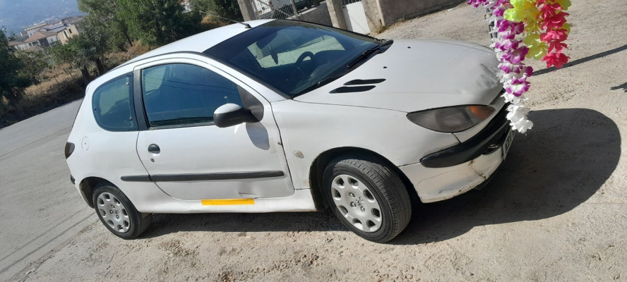 PEUGEOT 206